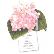 Floral Invitations, Pink Hydrangea, Stevie Streck